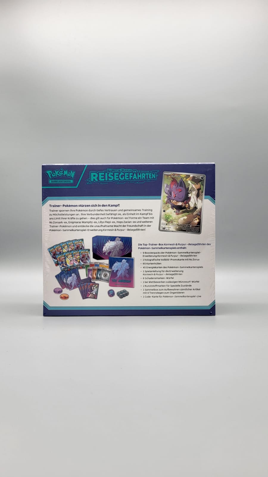 Pokemon Reisegefährten Top Trainer Box DE