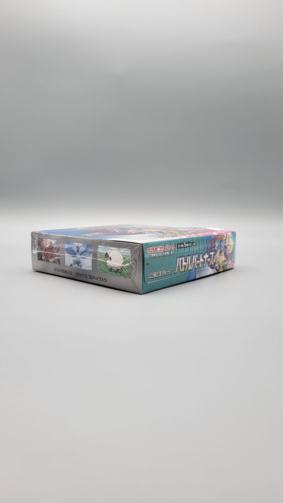 Pokemon Battle Partners Display JP