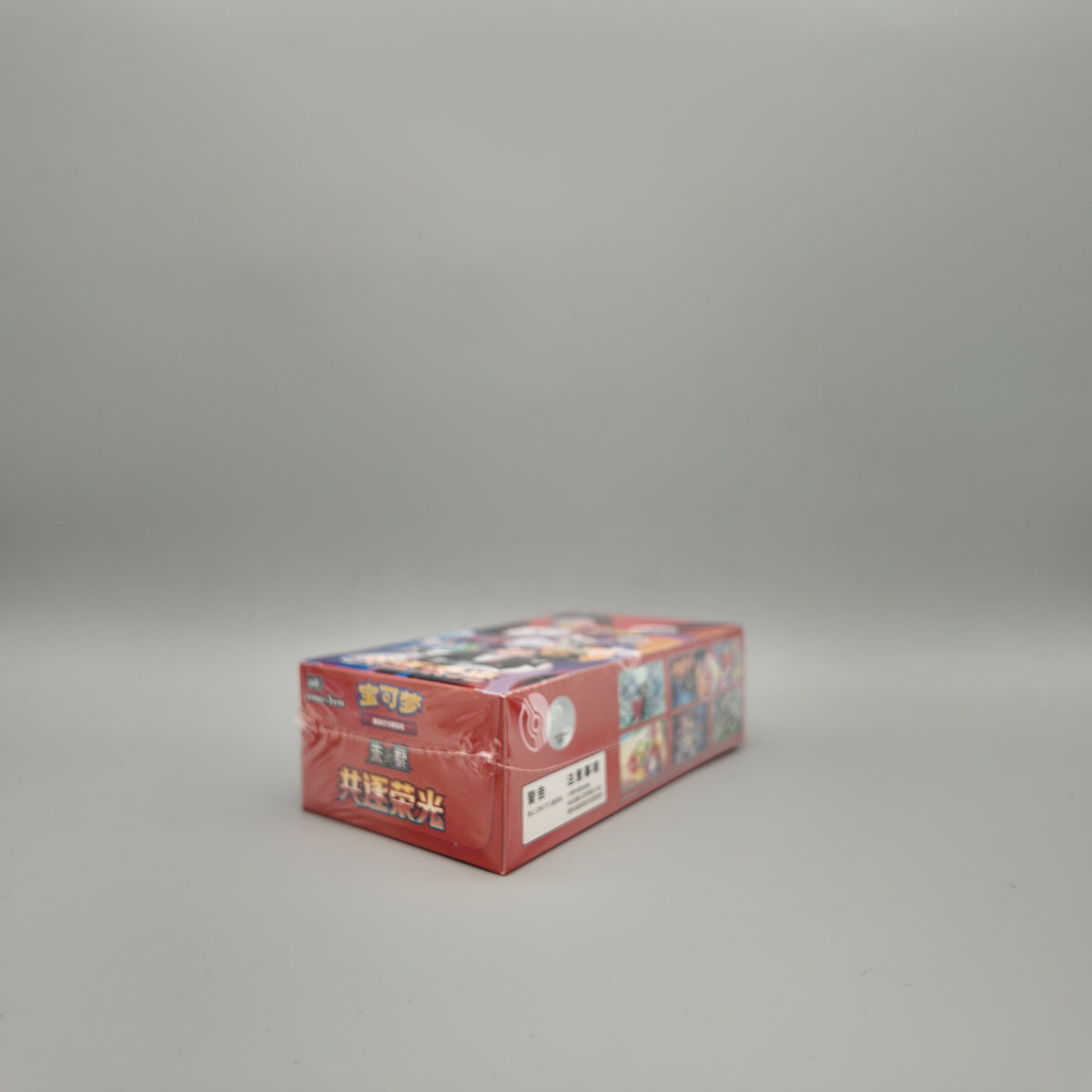Pokemon - Chasing Glory Together - Display - CH