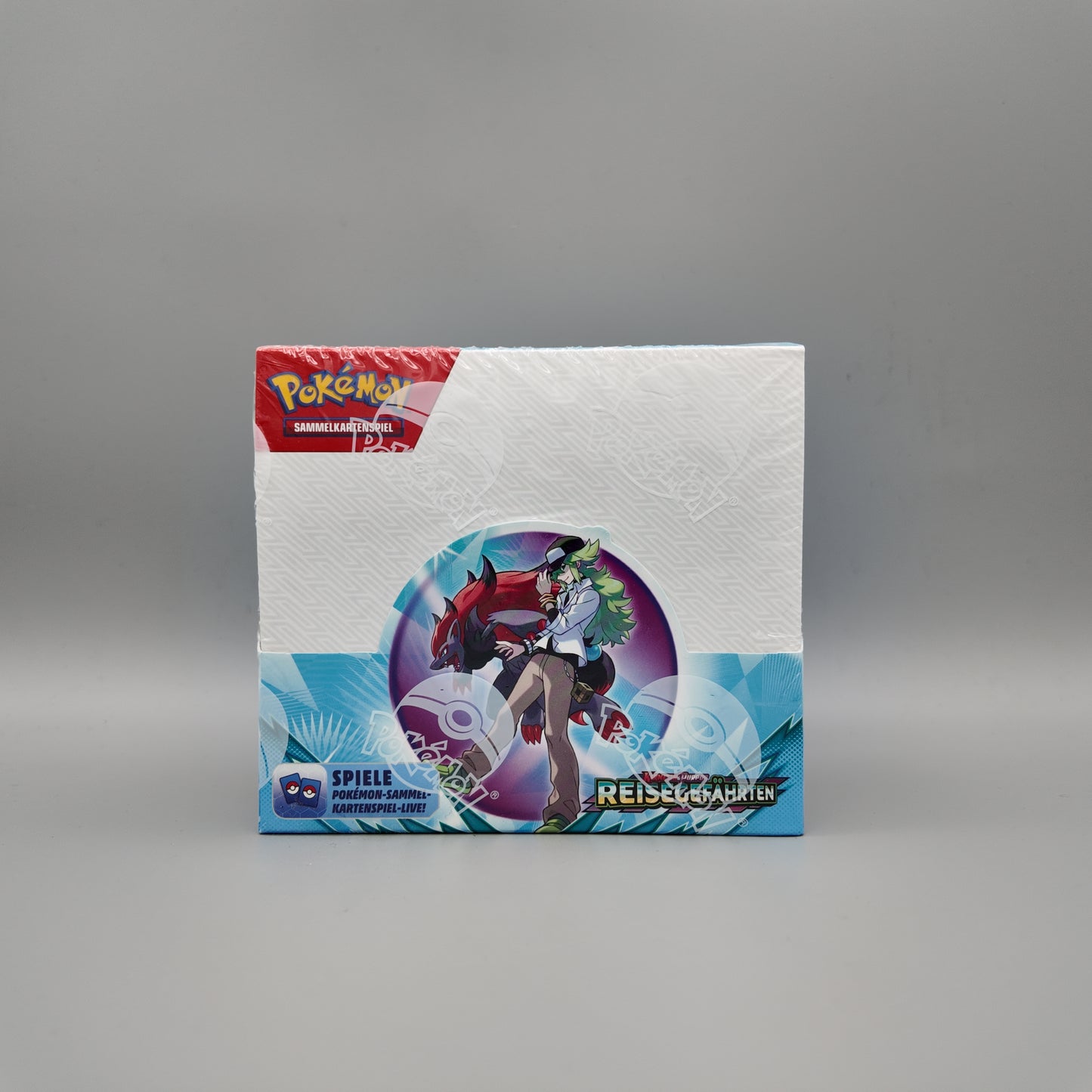 Pokemon Reisegefährten Display DE