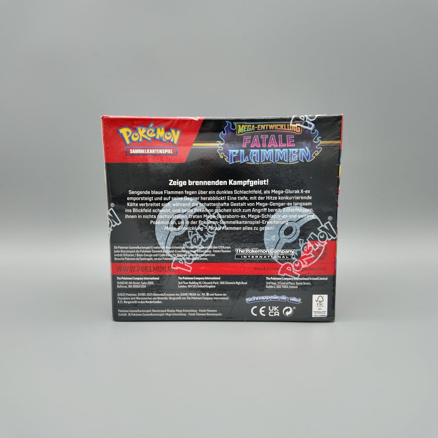 Pokemon - Fatale Flammen Display DE