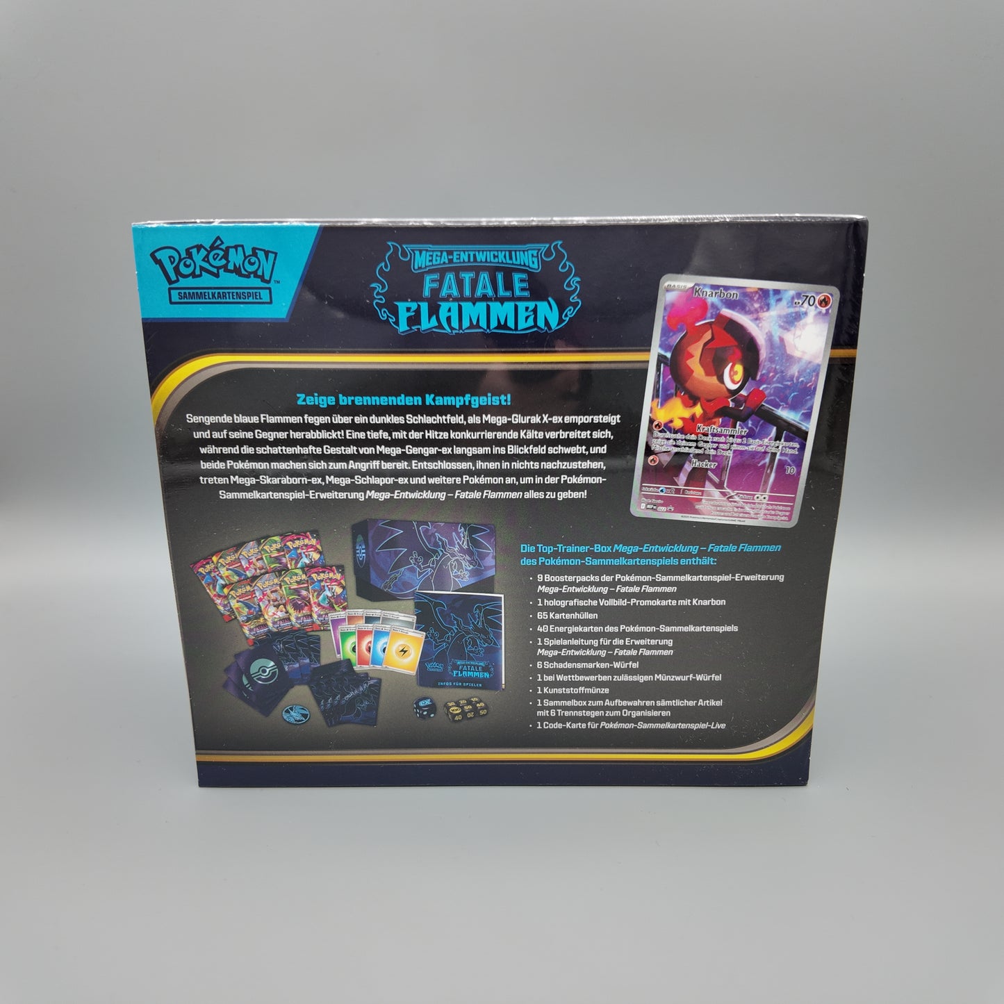 Pokemon - Fatale Flammen TTB DE