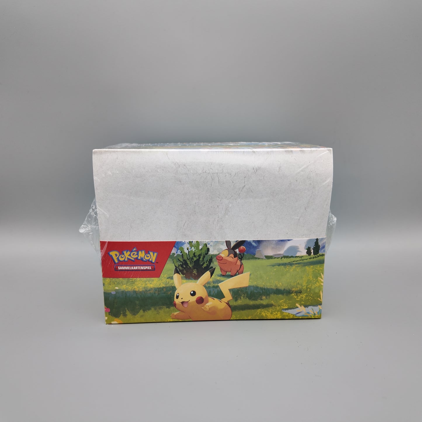 Pokemon - Erhabene Helden - Mini Tin - Display DE
